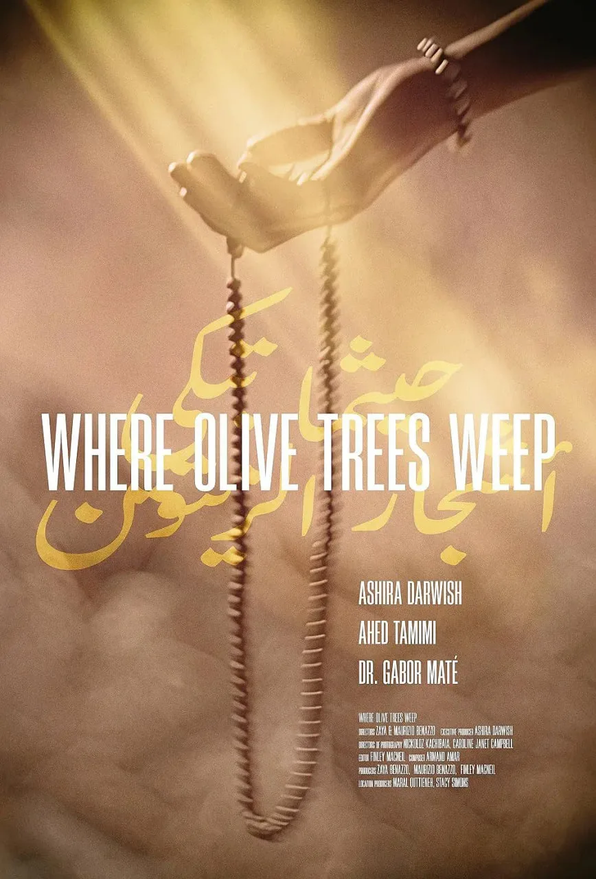 橄榄树悲泣之地