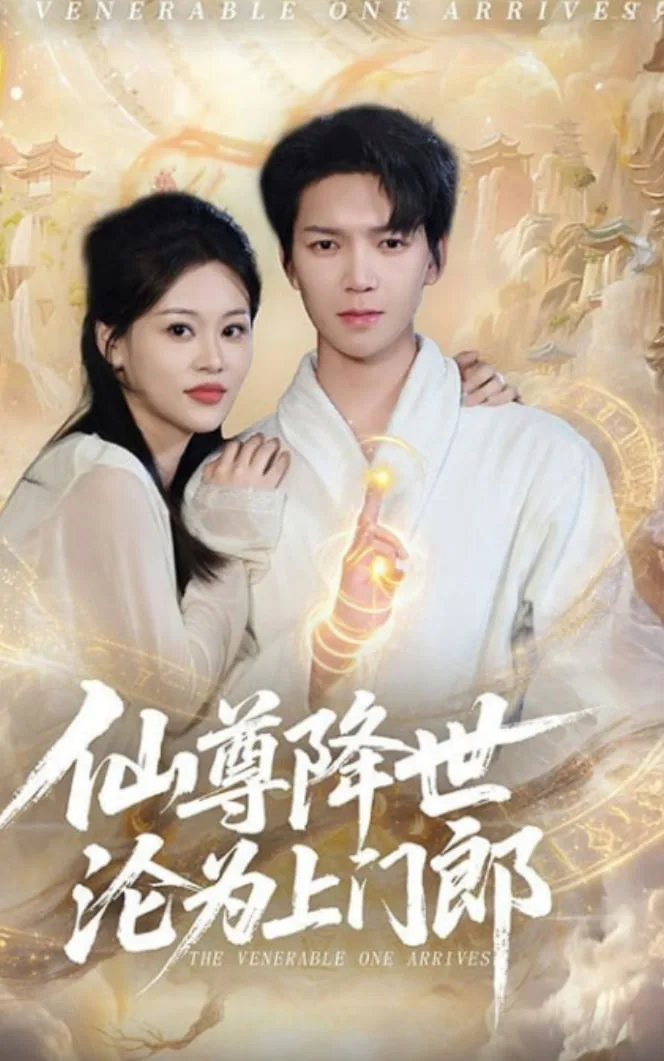 仙尊降世沦为上门郎
